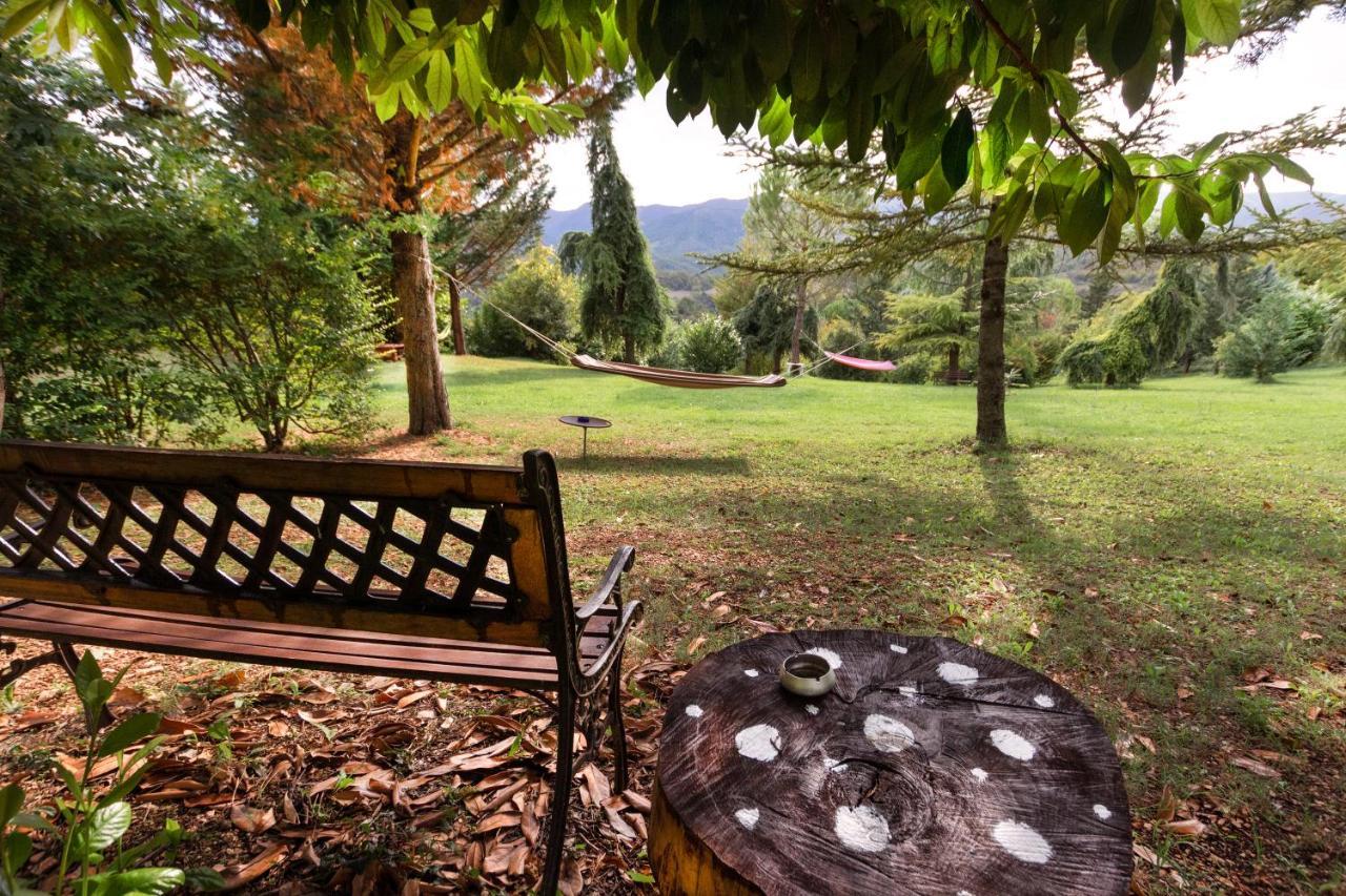 Ca' Lilli Villa Cantiano Dış mekan fotoğraf